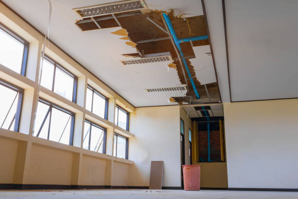 Best Water damage restoration near me  in Valley Stream, NY