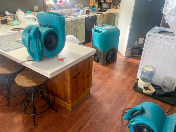 Best Mold removal after water damage  in Valley Stream, NY