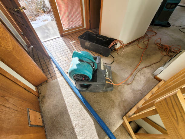 Best Professional water damage repair  in Valley Stream, NY