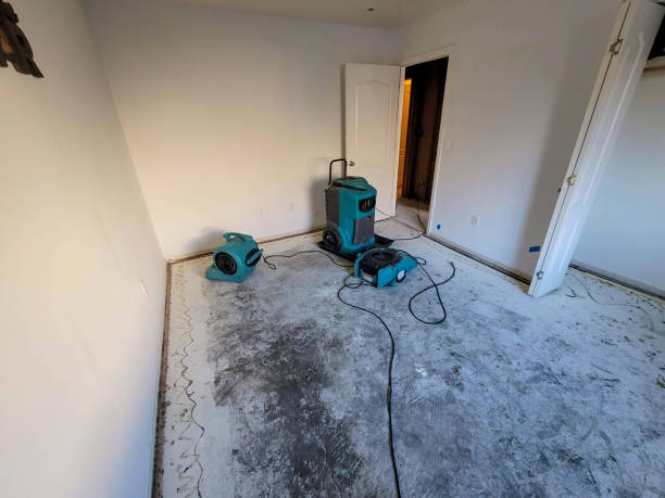 Carpet water damage restoration in Valley Stream, NY
