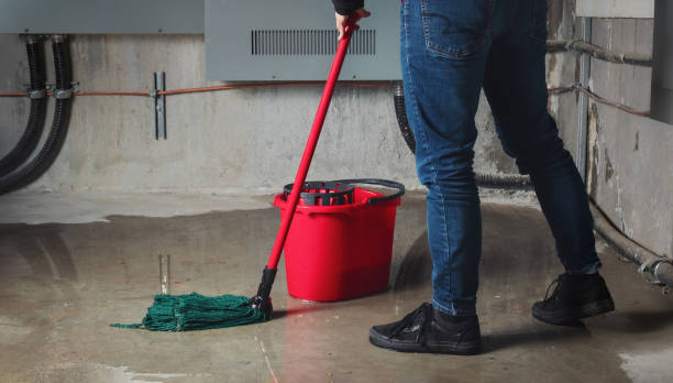 Best Fire Damage Restoration  in Valley Stream, NY