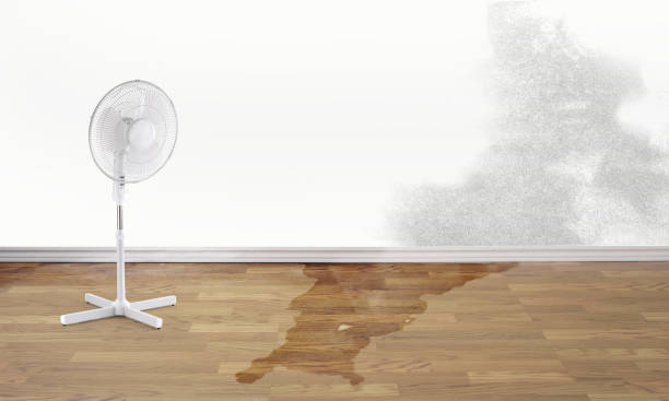 Best Water damage restoration specialists  in Valley Stream, NY