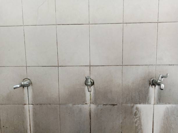 Best Basement water damage restoration  in Valley Stream, NY