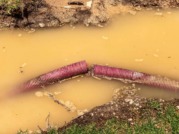 Best 24-hour water damage restoration  in Valley Stream, NY
