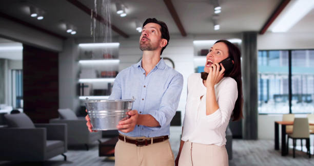 Best Water damage contractors near me  in Valley Stream, NY