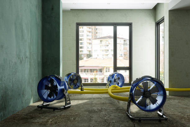 Best Water damage restoration near me  in Valley Stream, NY